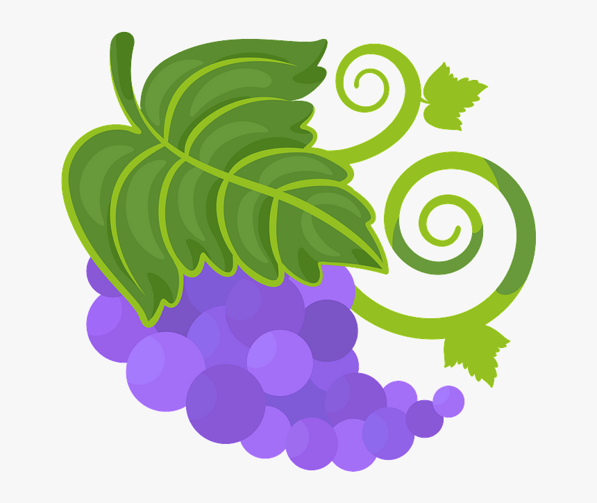 Grape, HD Png Download, Free Download