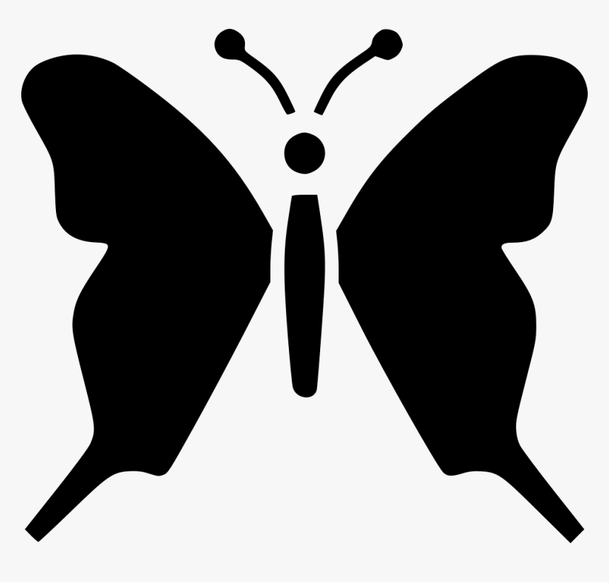 Transparent White Butterfly Png, Png Download, Free Download