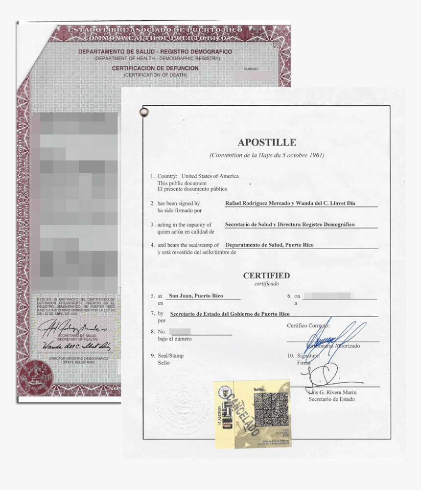 Certificate Stamp Png, Transparent Png, Free Download