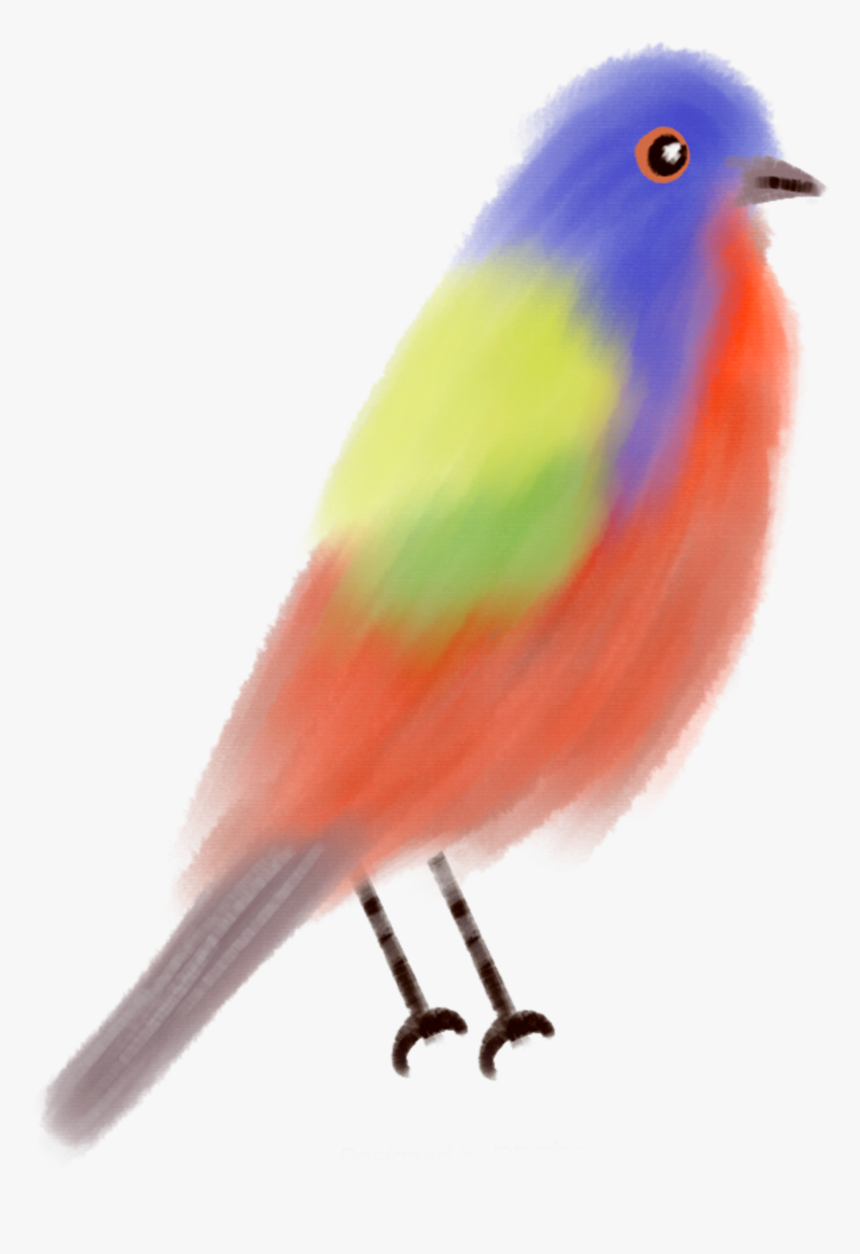 #ftestickers #watercolor #painting #bird #colorful - Painted Bunting, HD Png Download, Free Download