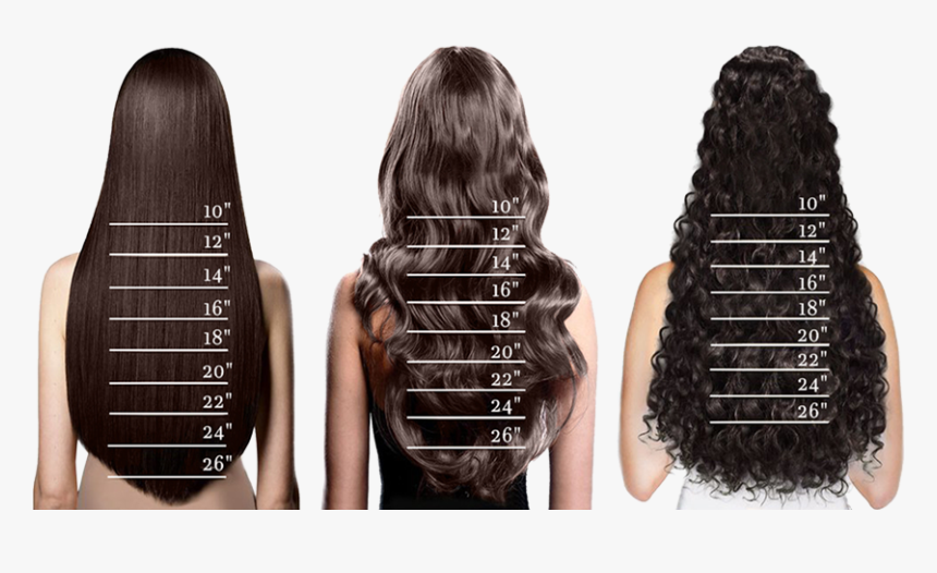 Length 8 Inches Hair, HD Png Download, Free Download