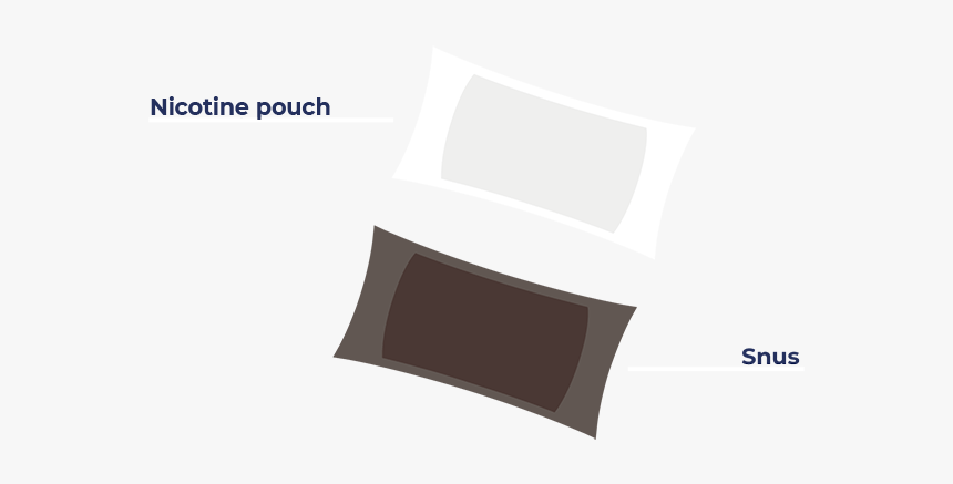 What"s A Nicotine Pouch - Chair, HD Png Download, Free Download