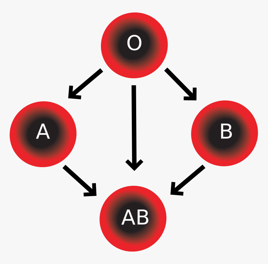 Blood Types, HD Png Download, Free Download