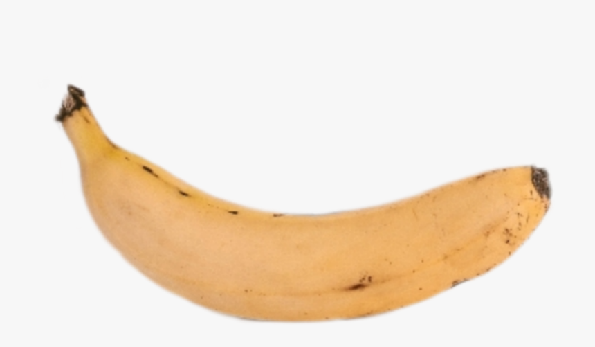 #platano #banana - Saba Banana, HD Png Download, Free Download