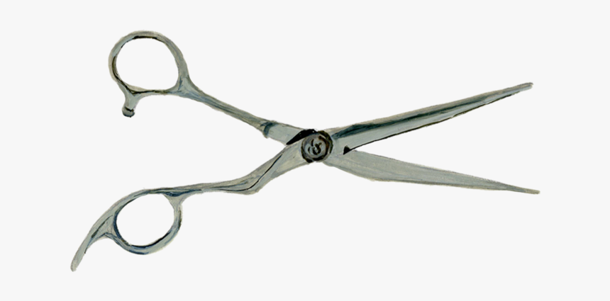 Hair Cutting Scissors Png, Transparent Png, Free Download