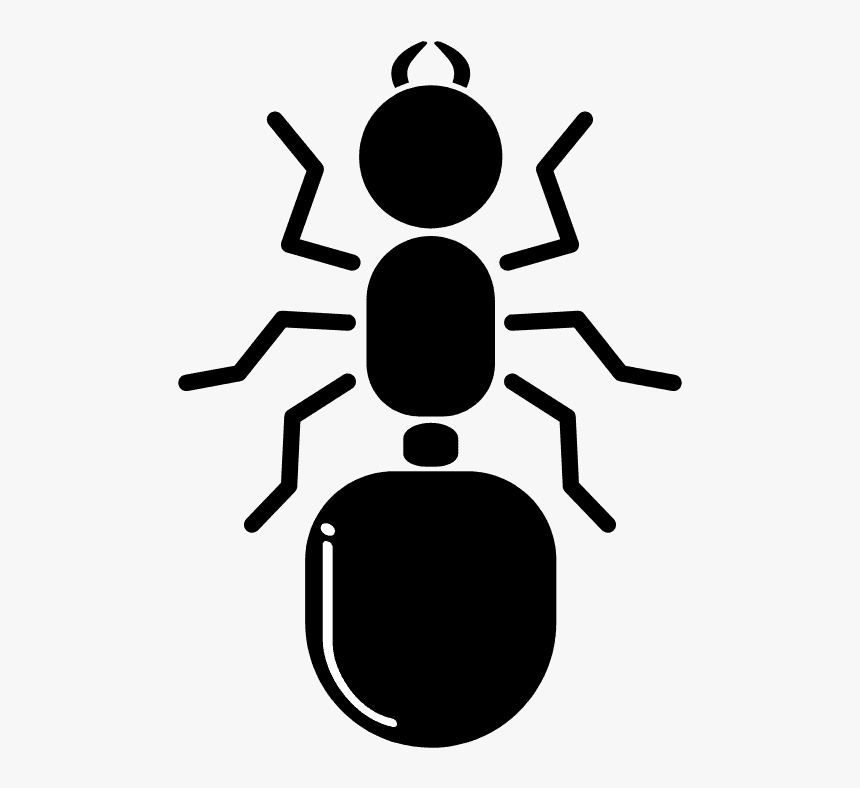 Weevil, HD Png Download, Free Download