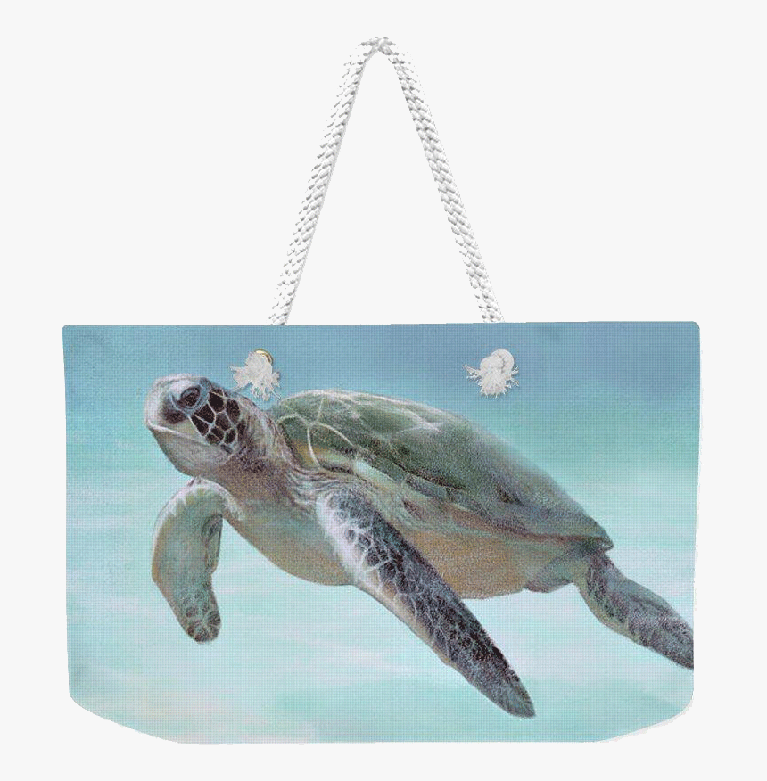 Home Decor & Accessories - Hawksbill Sea Turtle, HD Png Download, Free Download