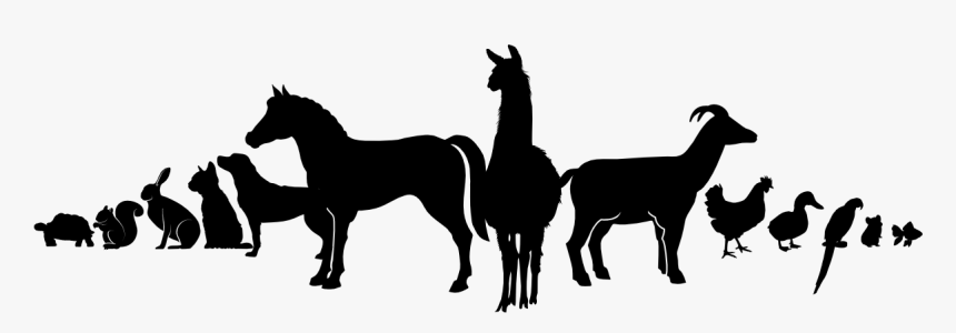 Animals In A Row Silhouette, HD Png Download, Free Download