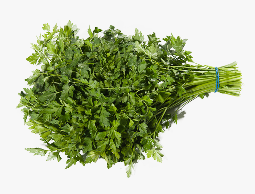 Parsley, HD Png Download, Free Download