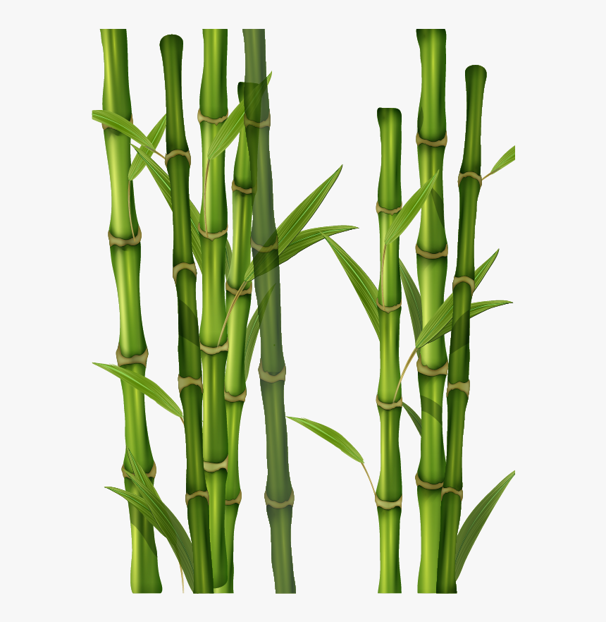 Grass, HD Png Download, Free Download