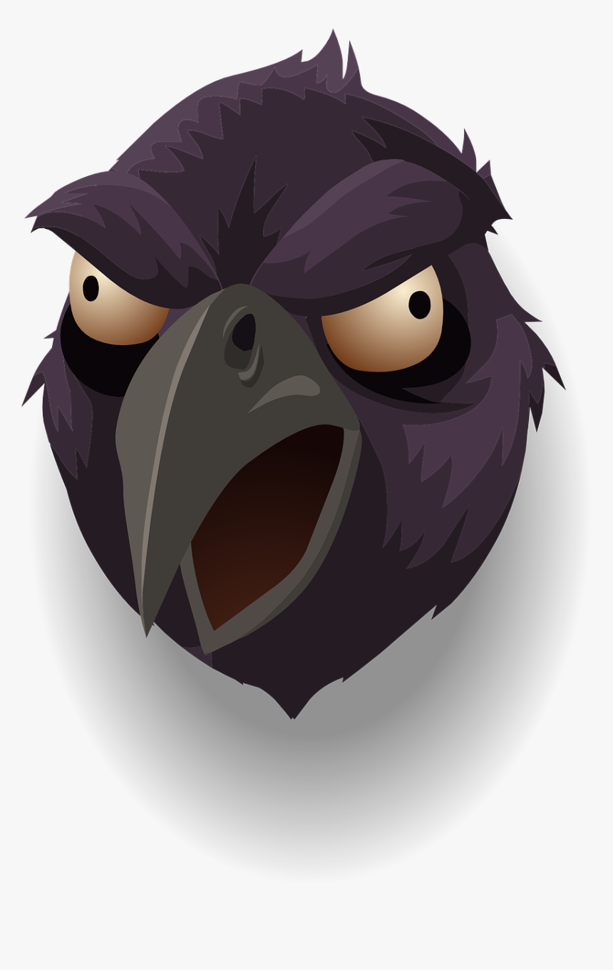 Raven, Head, Bird, Black, Feather, Crow, Animal - Cartoon Drawing Raven, HD Png Download, Free Download