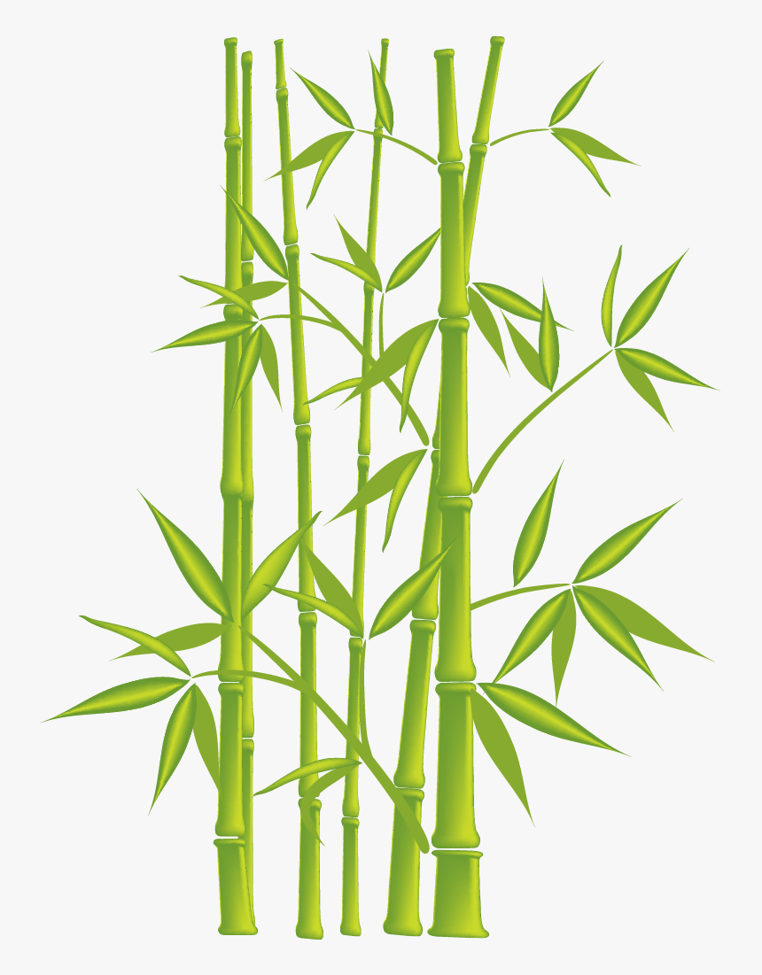 Simple Bamboo Wall Painting, HD Png Download, Free Download