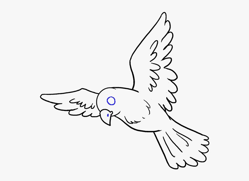 Drawn Head Bird - Drawing Of Bird, HD Png Download, Free Download