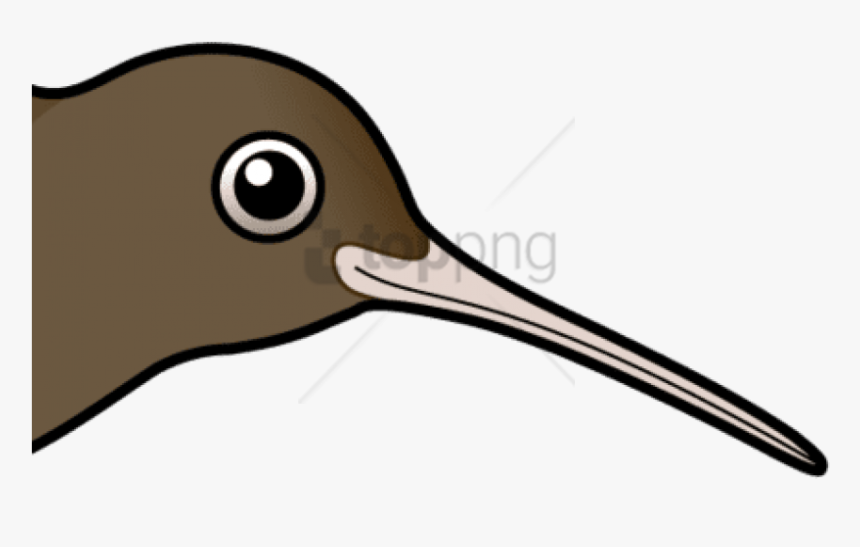 Free Png Download Bird Cartoon Png Images Background - Seabird, Transparent Png, Free Download