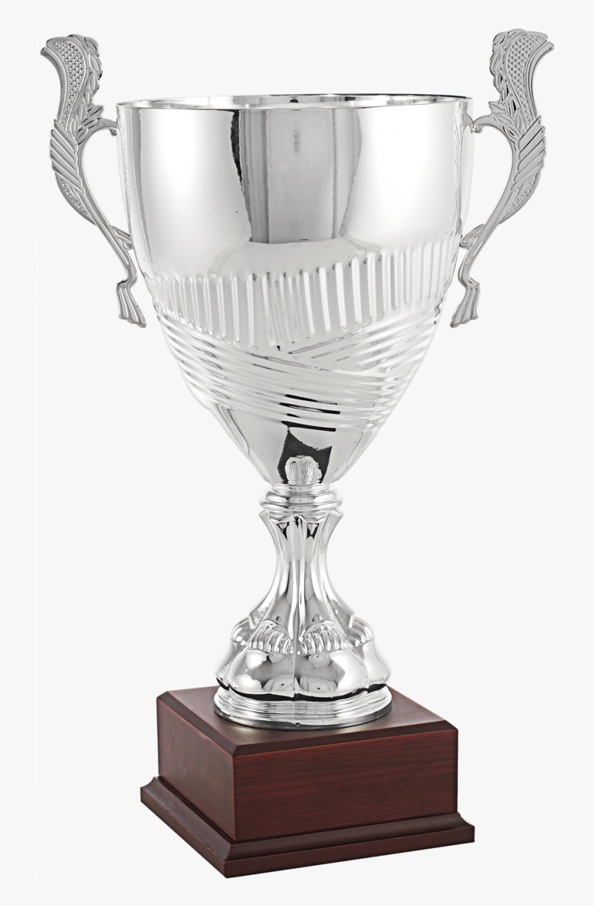 Cup In Silver With Cross Lines - Trofeo Copa De Plata, HD Png Download, Free Download