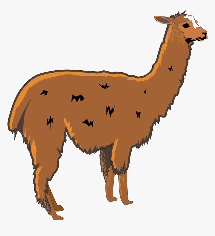 Transparent Animal Vector Png - Llama Clipart Png, Png Download, Free Download