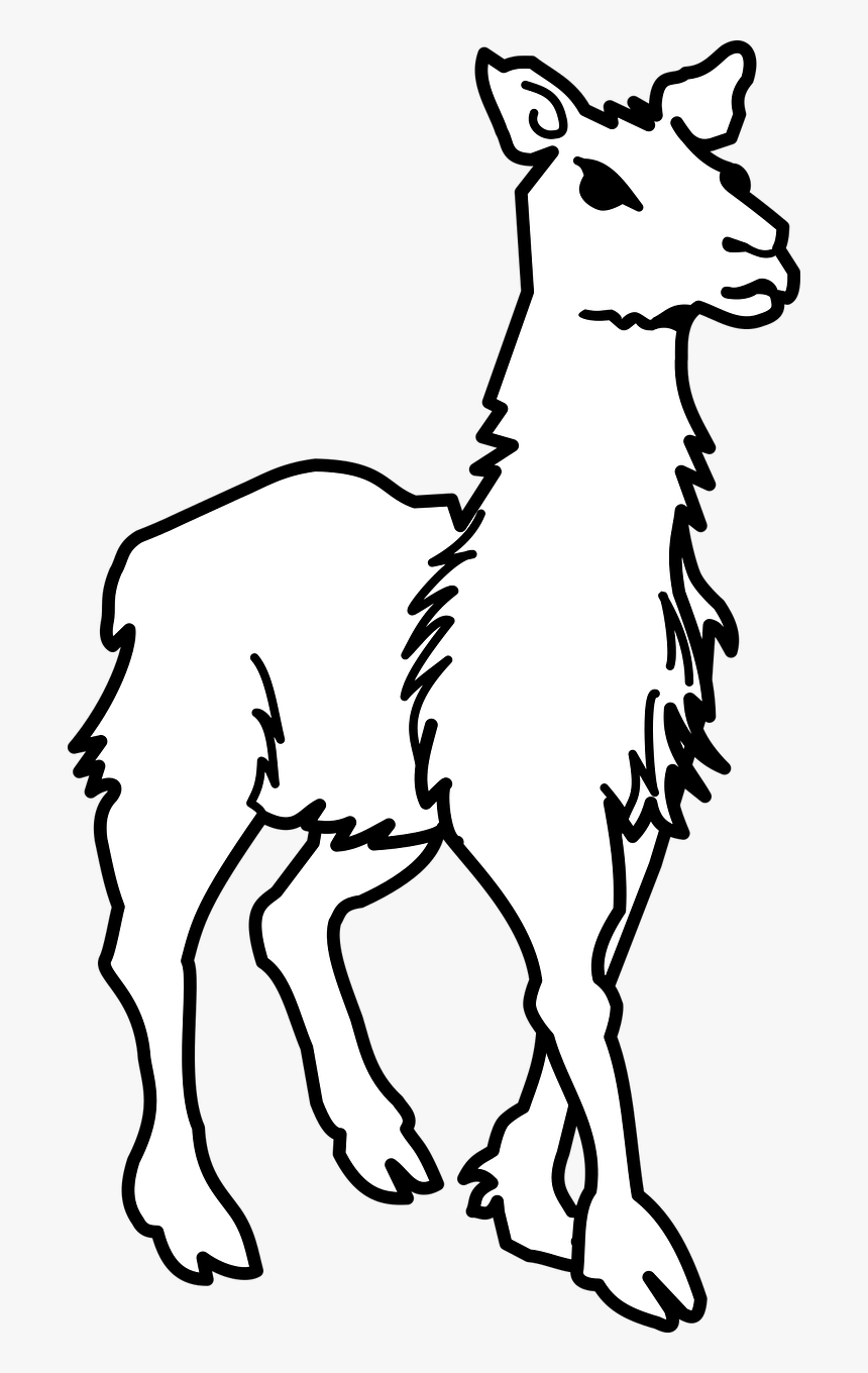 Clipart Of Llama Black And White, HD Png Download, Free Download