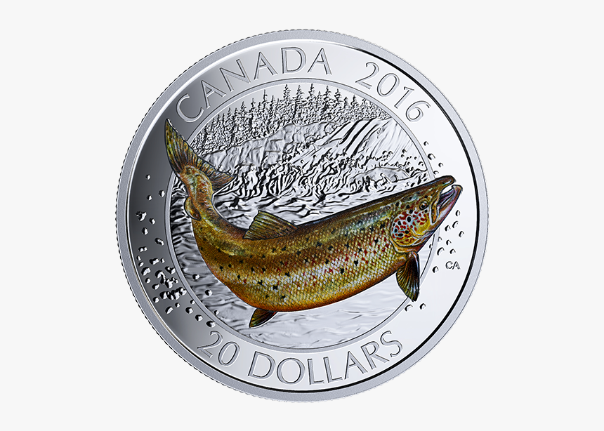 Coin Canada 2016 Canadian Salmonids, HD Png Download, Free Download