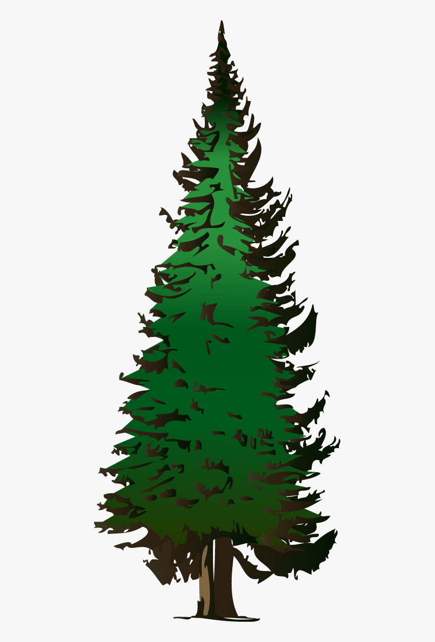 pine tree vector clipart images