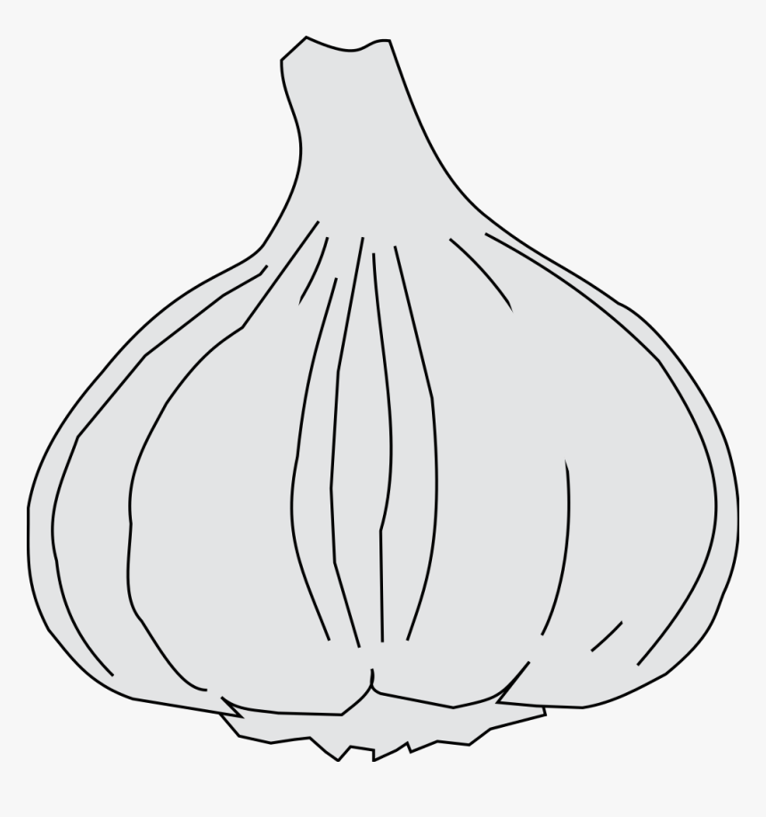 Transparent Ajo Png - Elephant Garlic, Png Download, Free Download