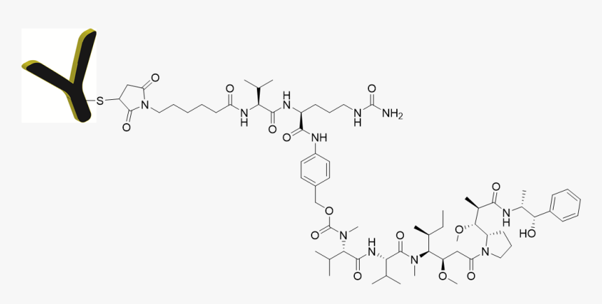 Monomethyl Auristatin E Antibody, HD Png Download, Free Download