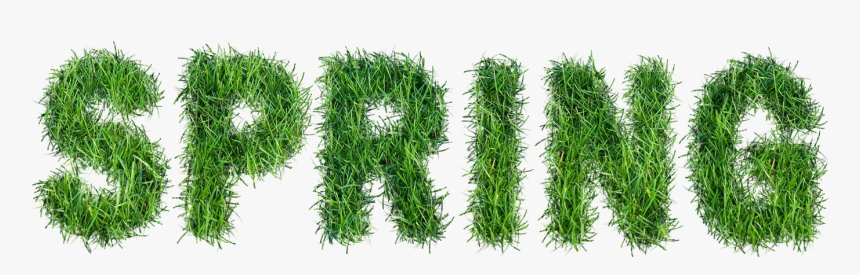 Spring With Grass Text - Spring Text Png, Transparent Png, Free Download