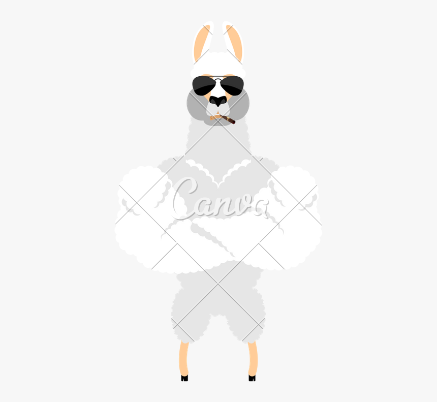 Alpaca Clipart Lama - Cartoon, HD Png Download, Free Download