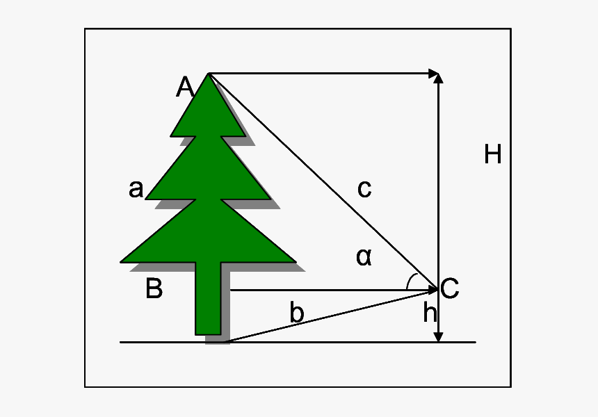 Family Tree Clip Art, HD Png Download, Free Download