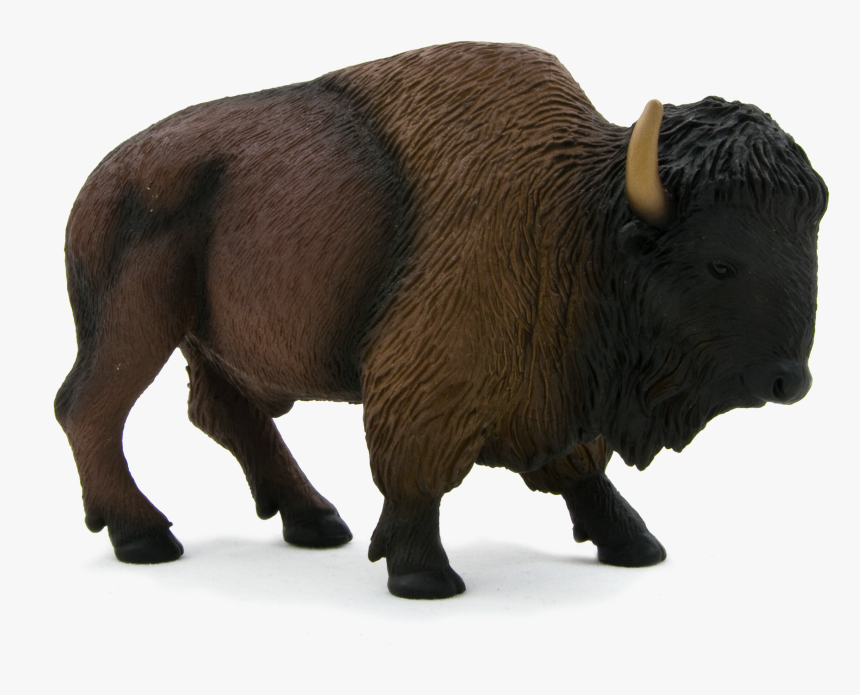 Bison Png - American Buffalo Png, Transparent Png, Free Download