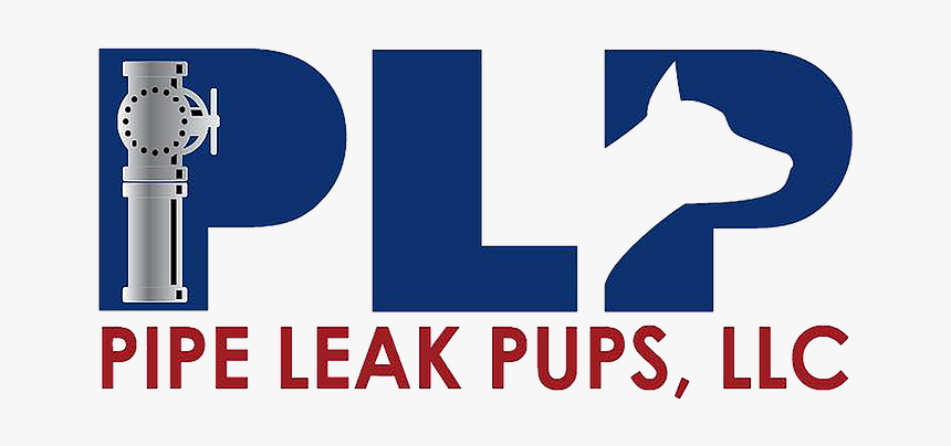 Pups Pipeline Detection Canine - Franz Ferdinand Covers Ep, HD Png Download, Free Download