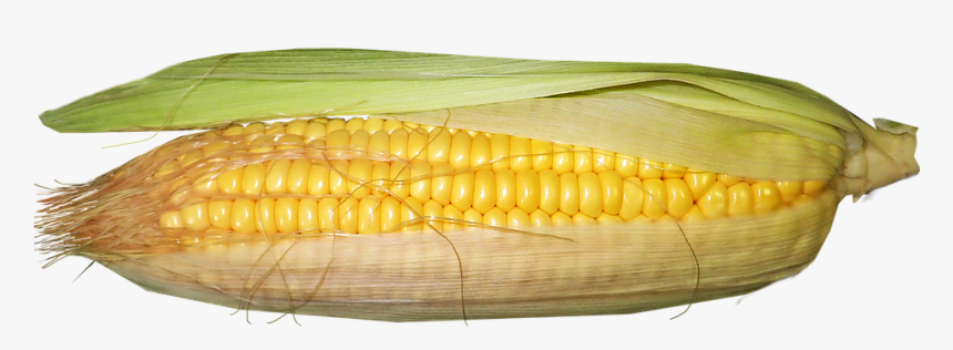 Corn Kernels, HD Png Download, Free Download