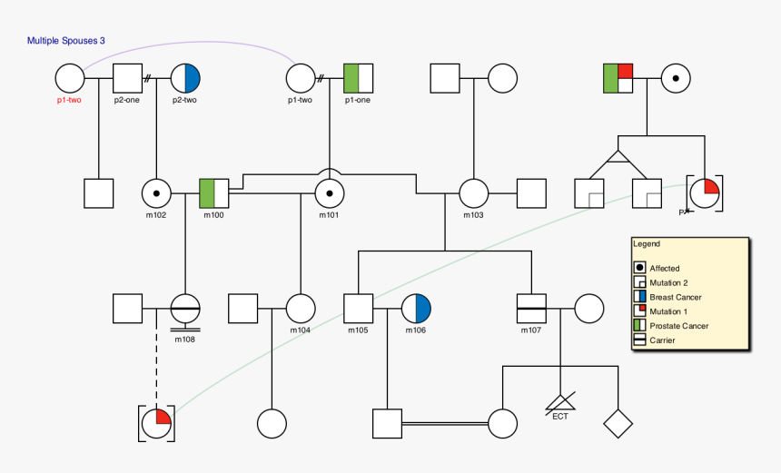 Complex Pedigree Diagram - Complex Pedigree Chart, HD Png Download, Free Download