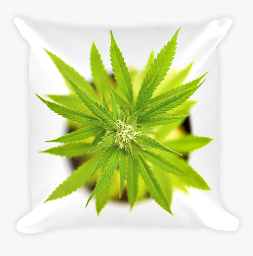 Pillow Mockup, HD Png Download, Free Download