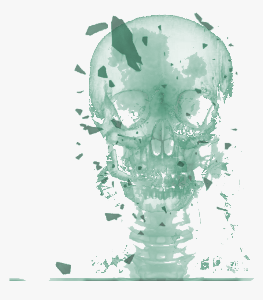 Skull, HD Png Download, Free Download