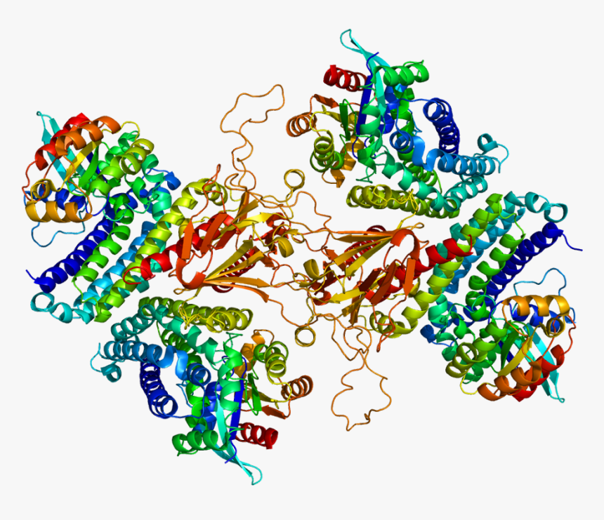 Protein Tiam1 Pdb 1foe - Tiam1 Structure, HD Png Download, Free Download