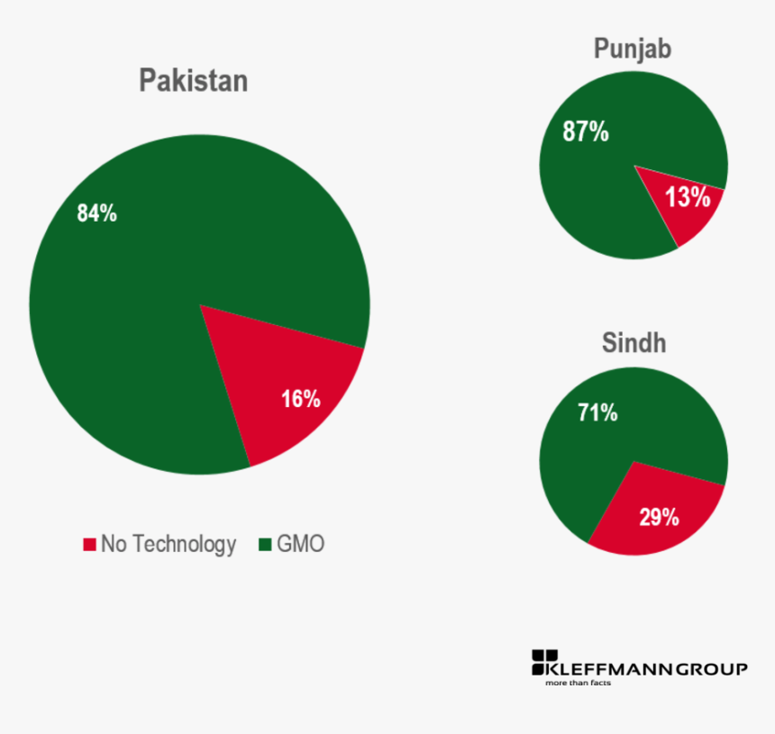 Bt Cotton Adoption In Pakistan 2011 And Its Provinces, HD Png Download, Free Download