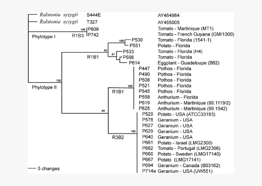 Diagram, HD Png Download, Free Download