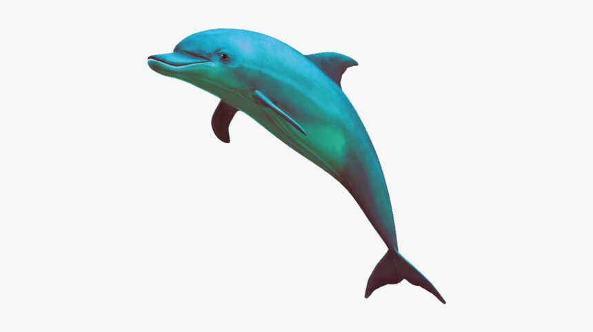 Dolphin Emoji Png, Transparent Png, Free Download