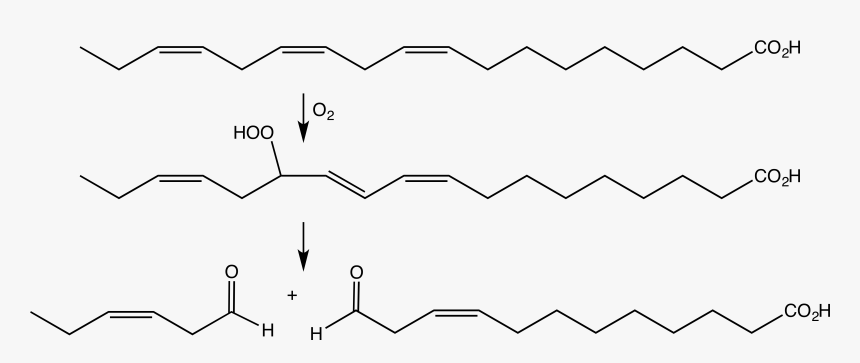 File - O2aselyasefatty - Lipoxygenase Structure, HD Png Download, Free Download