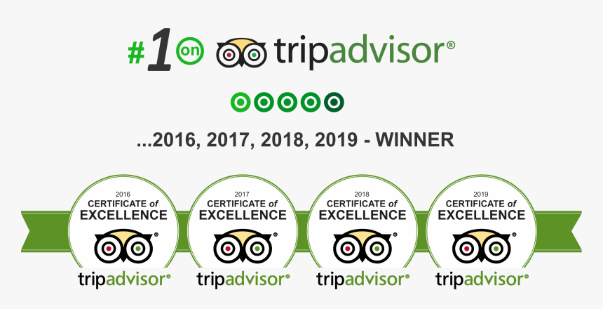 Tripadvisor Certificate Of Excellence 2019 2018 2017, HD Png Download, Free Download