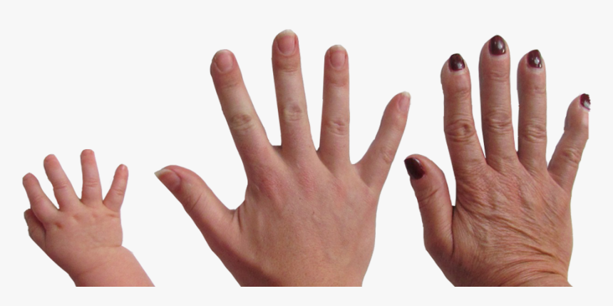 Sign Language, HD Png Download, Free Download