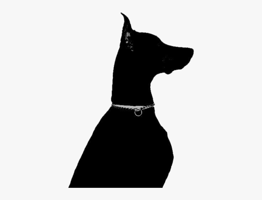 Png-plz - Doberman Pinscher Aesthetic, Transparent Png, Free Download