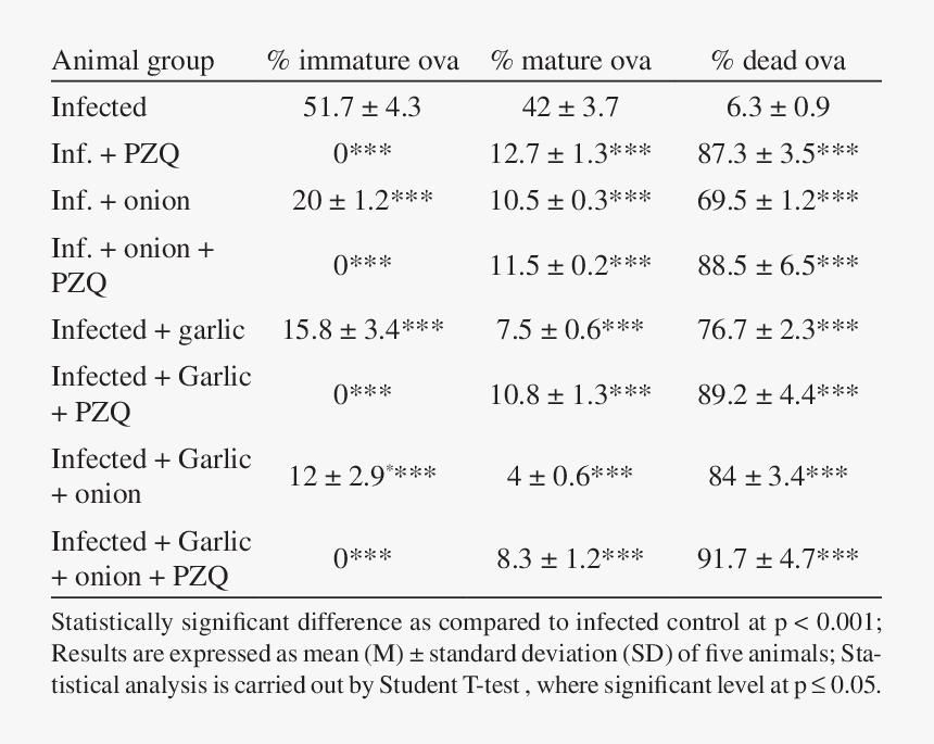 Measurements Of The Heart Size, HD Png Download, Free Download