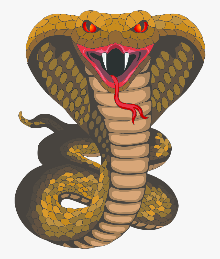 Cobra - King Cobra Clipart, HD Png Download, Free Download