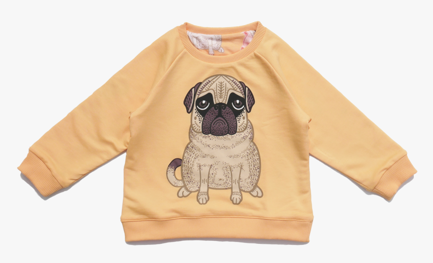 Pug, HD Png Download, Free Download