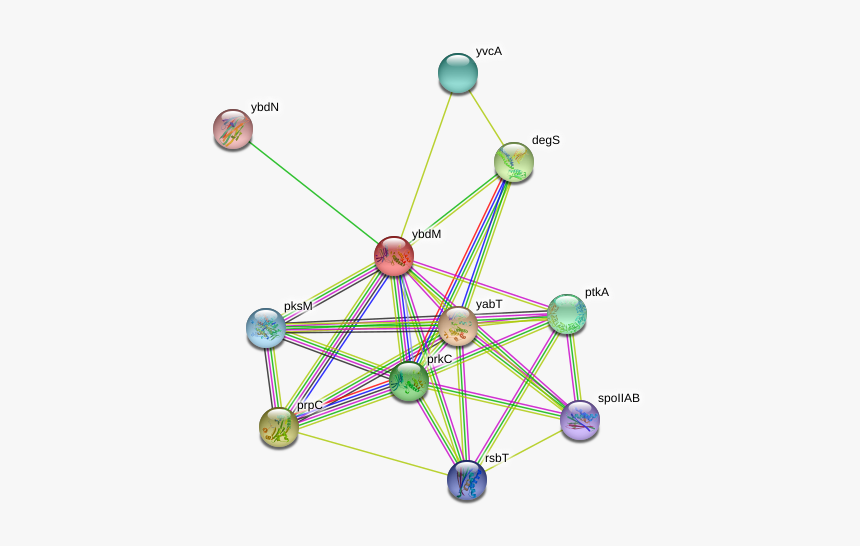 Ybdm Protein - Circle, HD Png Download, Free Download