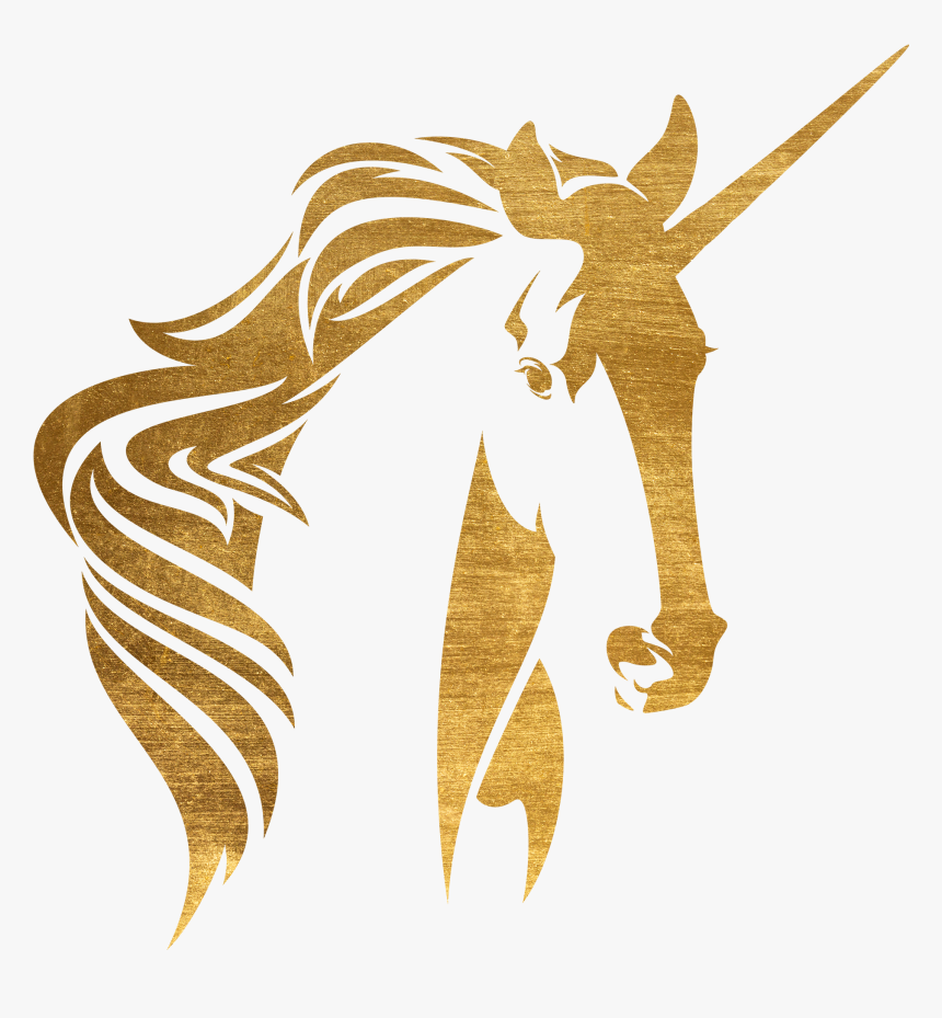 Unicorn Culture Coaching, HD Png Download, Free Download