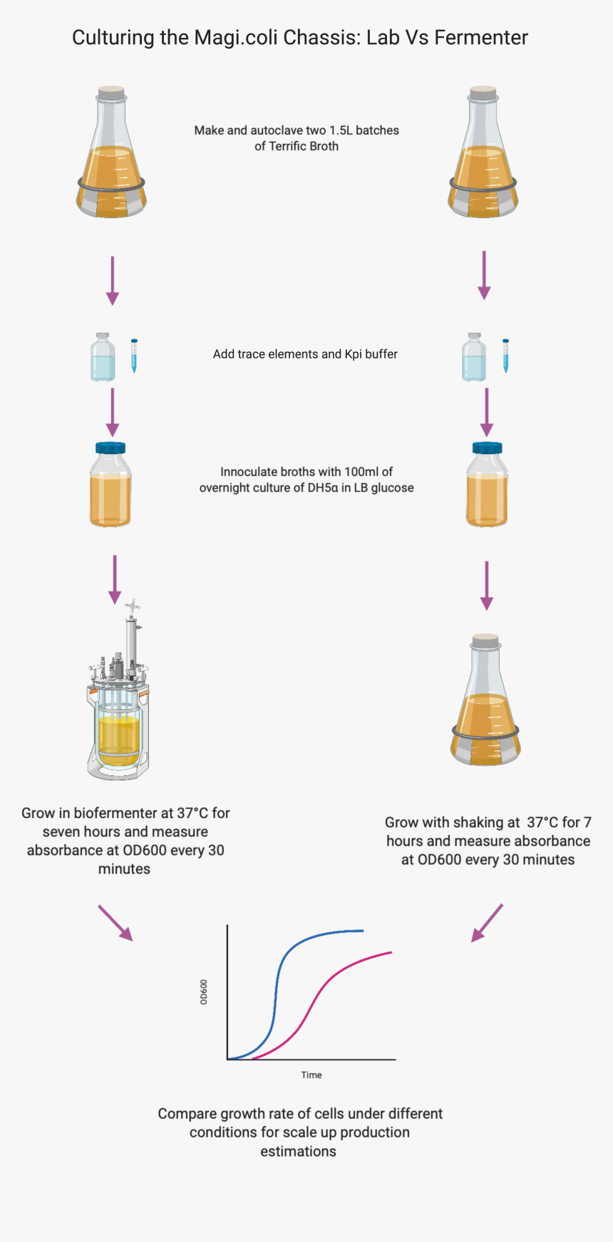 Diagram, HD Png Download, Free Download