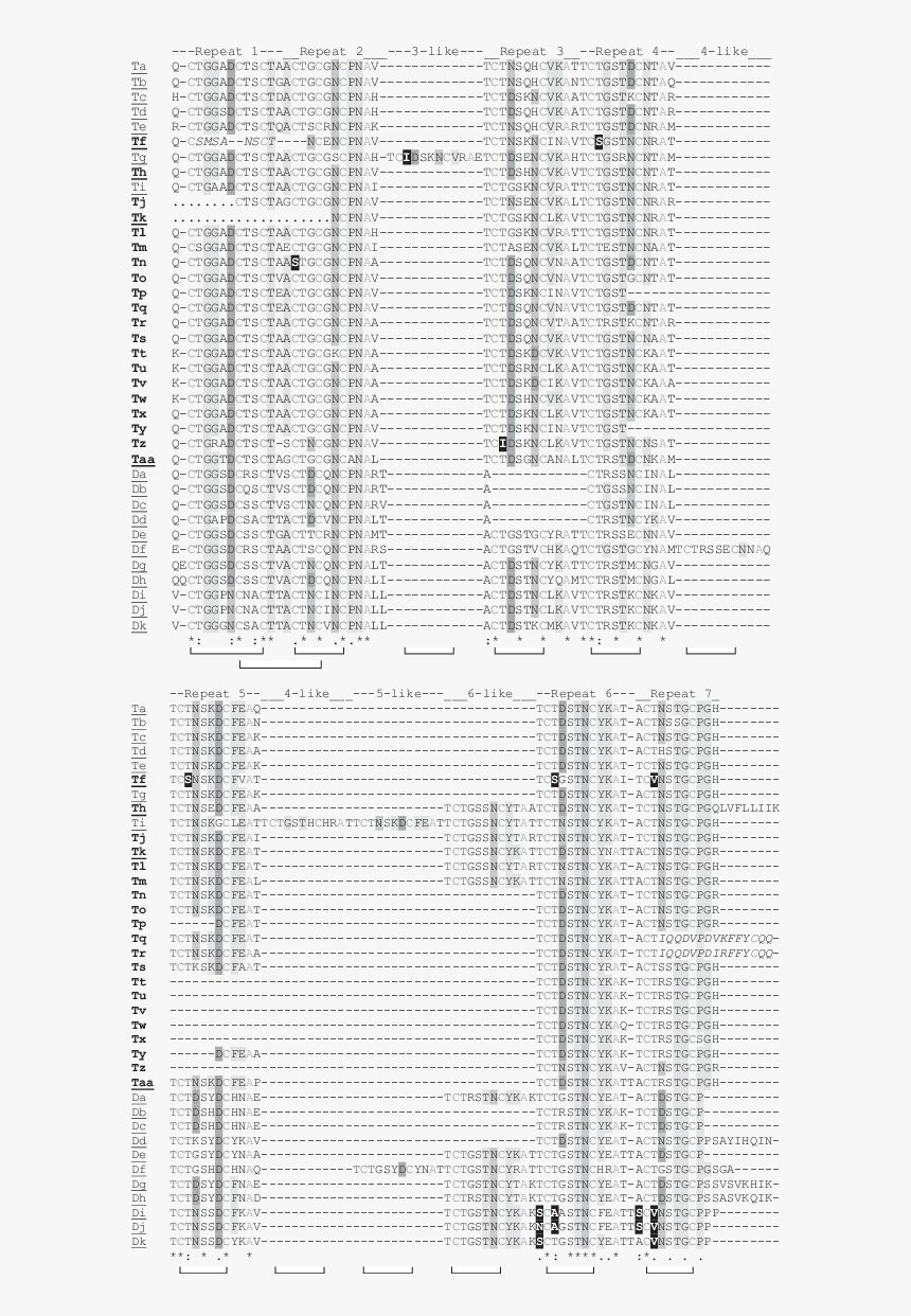 Document, HD Png Download, Free Download