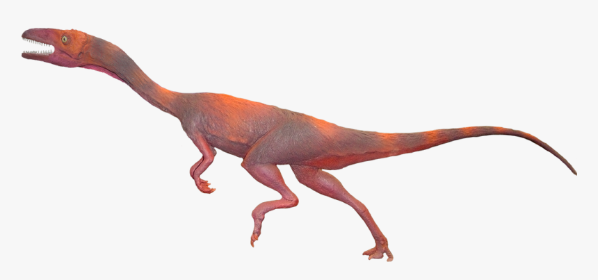 Camposaurus Png, Transparent Png, Free Download